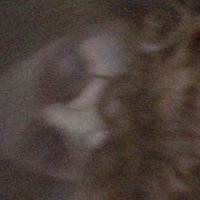 Хелена Анизова Оголені